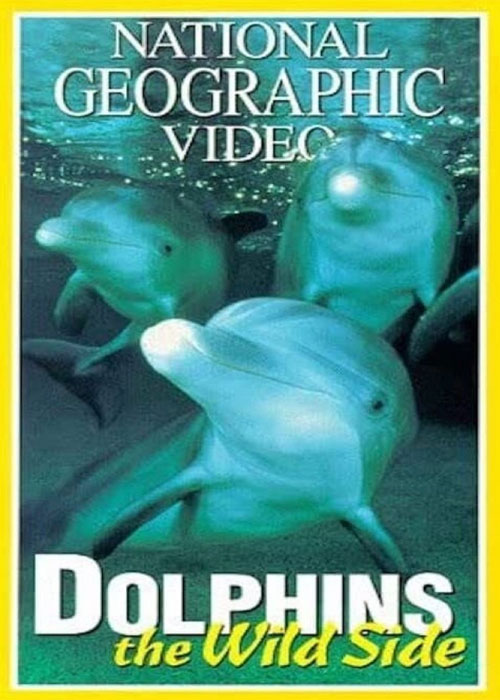 مستند دلفین های وحشی با دوبله فارسی
