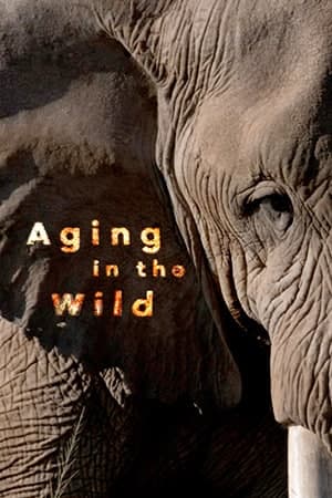 مستند پیر شدن در حیات وحش