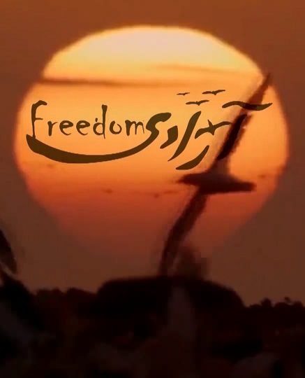 مستند آزادی