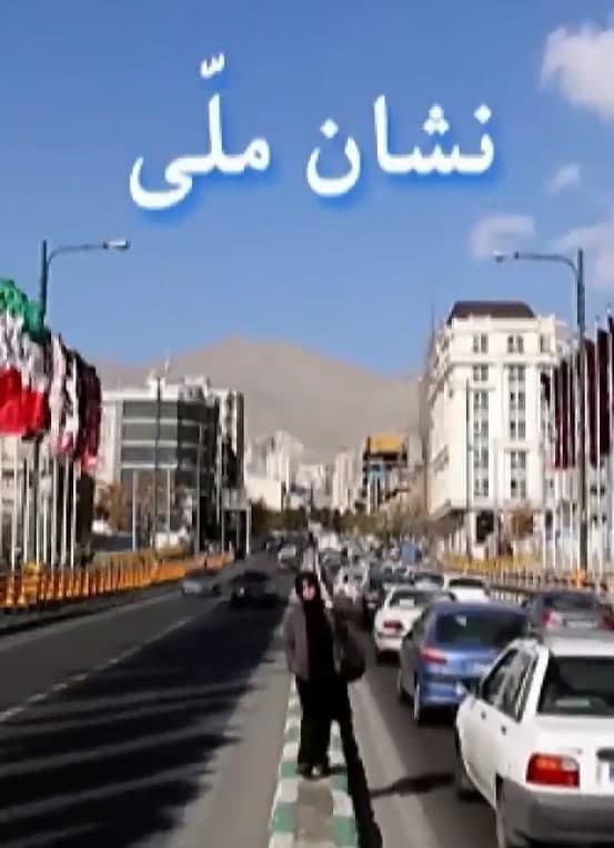 مستند نشان ملی