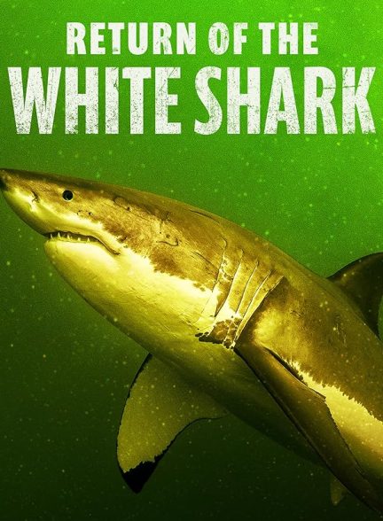 مستند Return of the White Shark