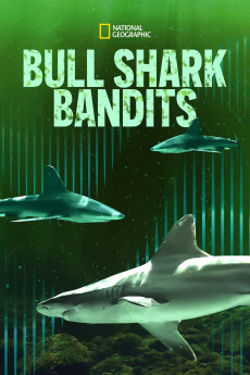 مستند Bull Shark Bandits