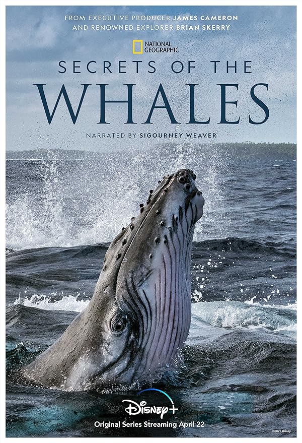 دانلود مستند اسرار نهنگ ها با زیرنویس فارسی Secrets of the Whales 2021