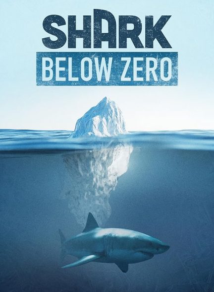 دانلود مستند Shark Below Zero با زیرنویس فارسی