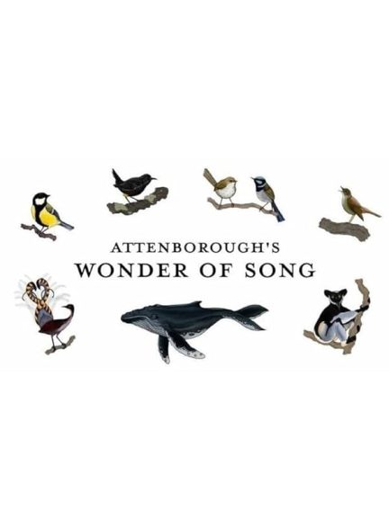 دانلود مستند Attenborough’s Wonder of Song با زیرنویس فارسی