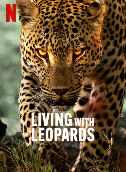 دانلود مستند زندگی با پلنگ ها با زیرنویس فارسی Living with Leopards 2024