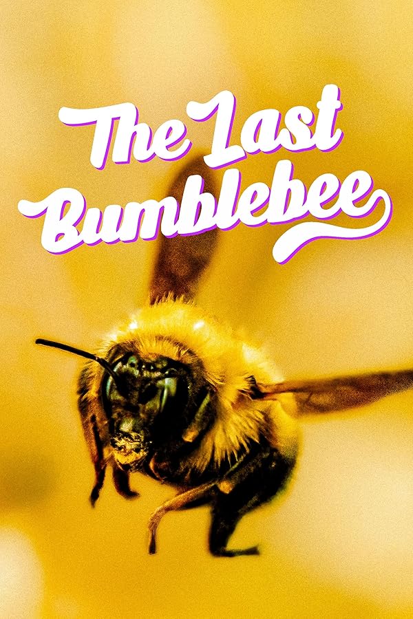 مستند آخرین زنبور عسل با زیرنویس فارسی The Last Bumblebee 2024