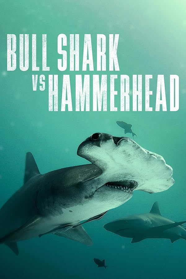 دانلود مستند Bull Shark Vs. Hammerhead با زیرنویس فارسی