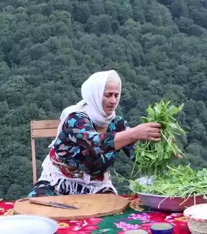 مستند ژیانی لادی