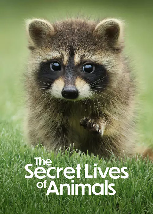 مستند زندگی پنهان حیوانات The Secret Lives of Animals 2024