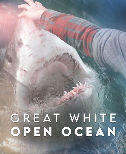 دانلود مستند Great White Open Ocean