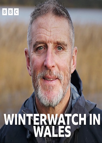 دانلود مستند BBC Winterwatch in Wales 2025 با زیرنویس فارسی