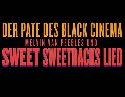 دانلود مستند Sweet Black Film: The Birth of a Black Hero با زیرنویس فارسی