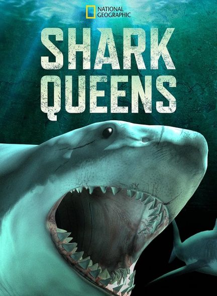 دانلود مستند Shark Queens با زیرنویس فارسی