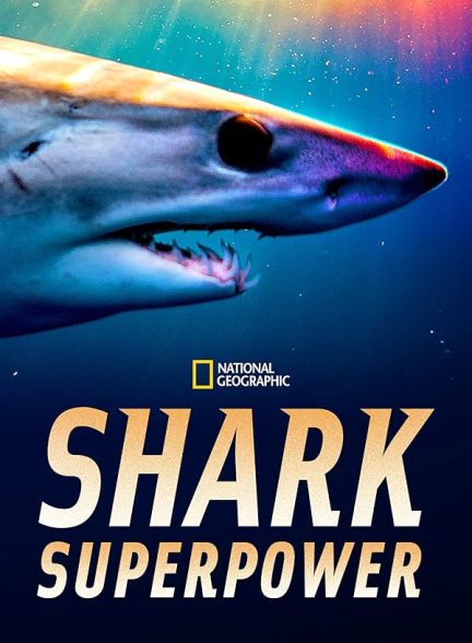 دانلود مستند Shark Superpower با زیرنویس فارسی