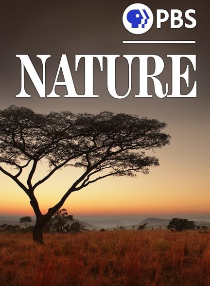 دانلود مستند Nature با زیرنویس فارسی